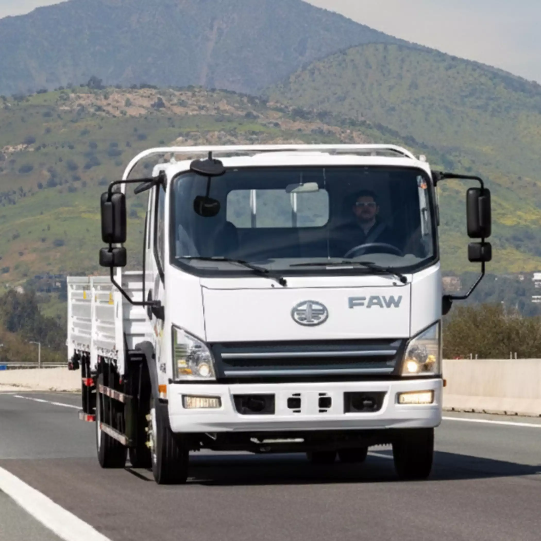 Camión F-914 L - Maco Tattersall