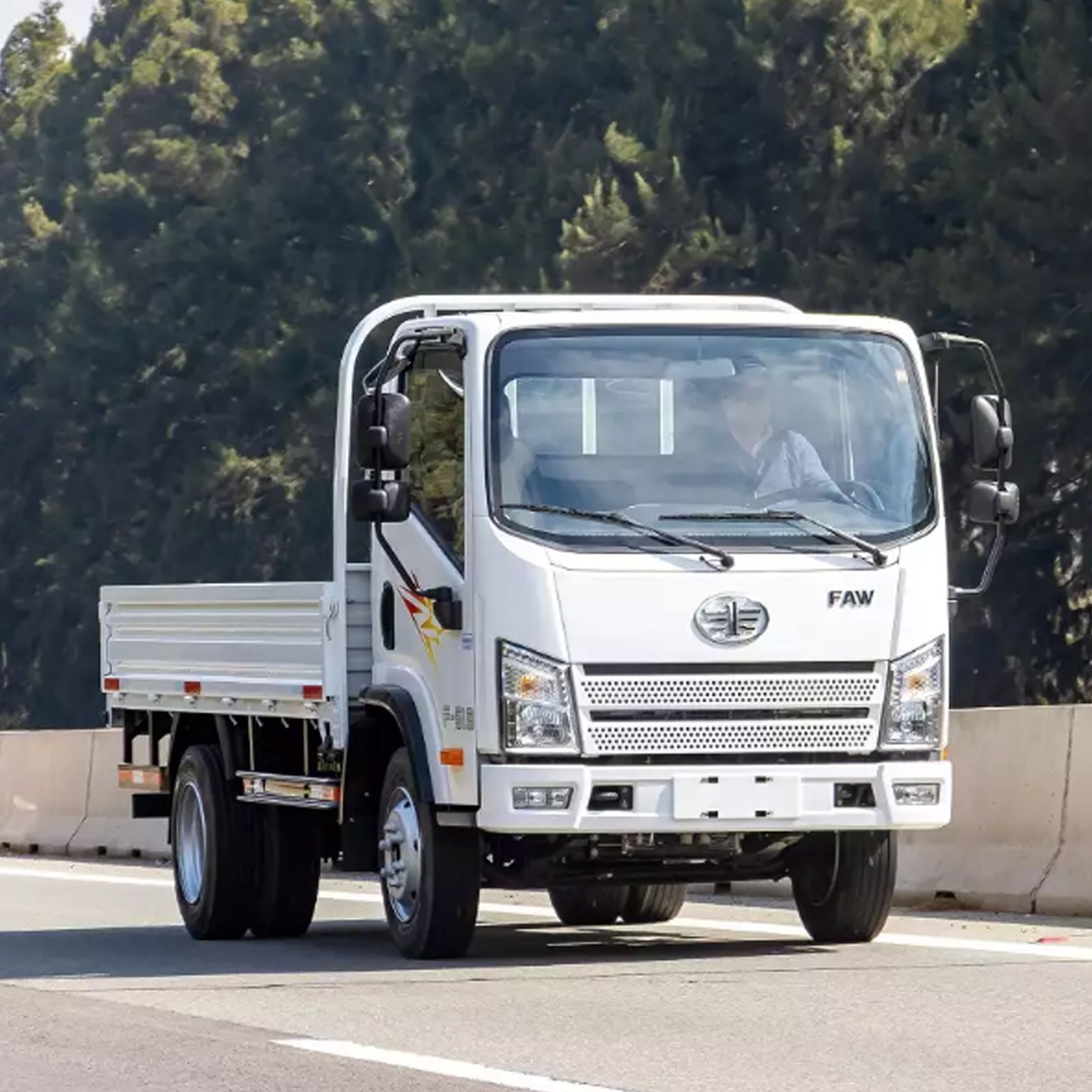 Camión F-513 - Maco Tattersall