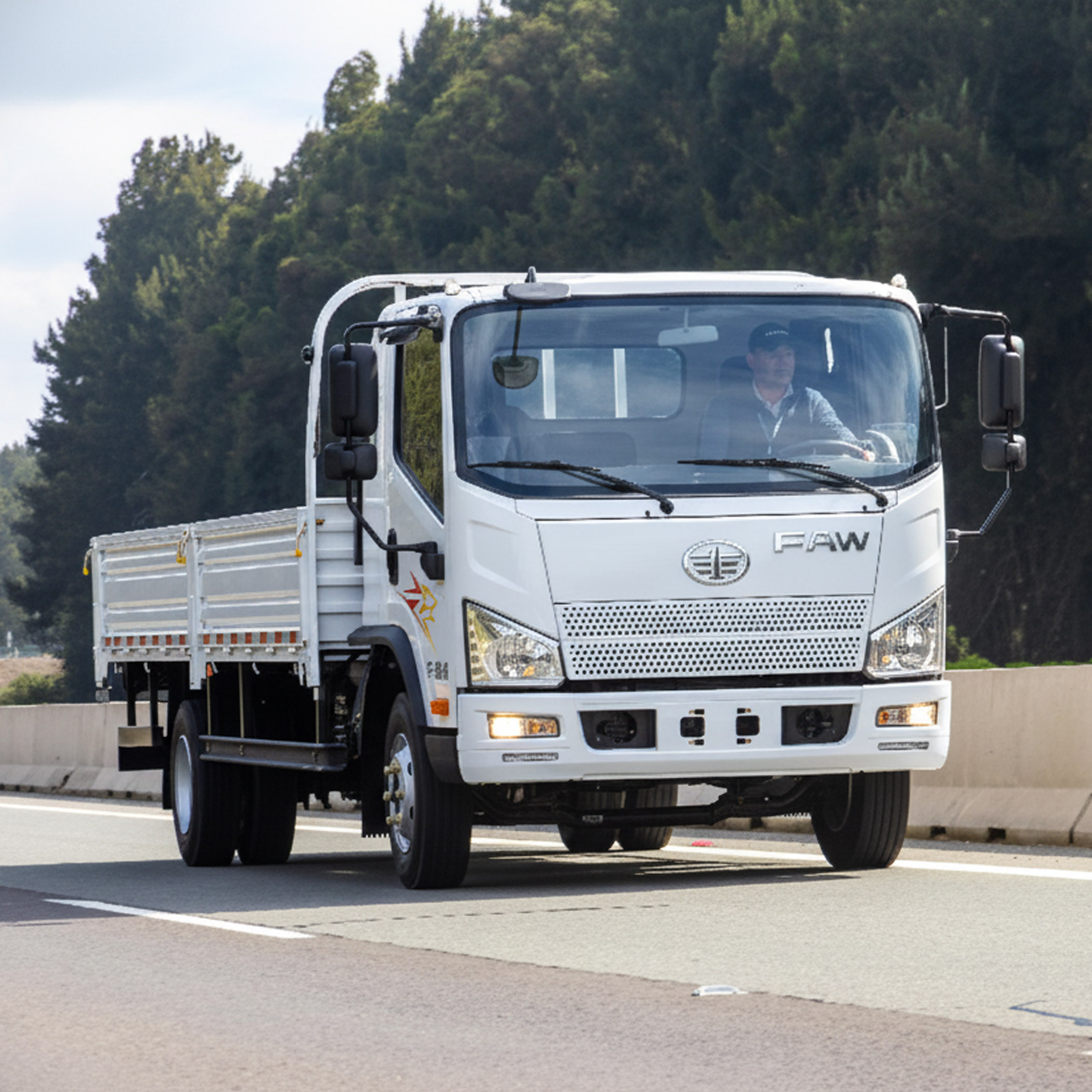 Camión F-914 L - Maco Tattersall