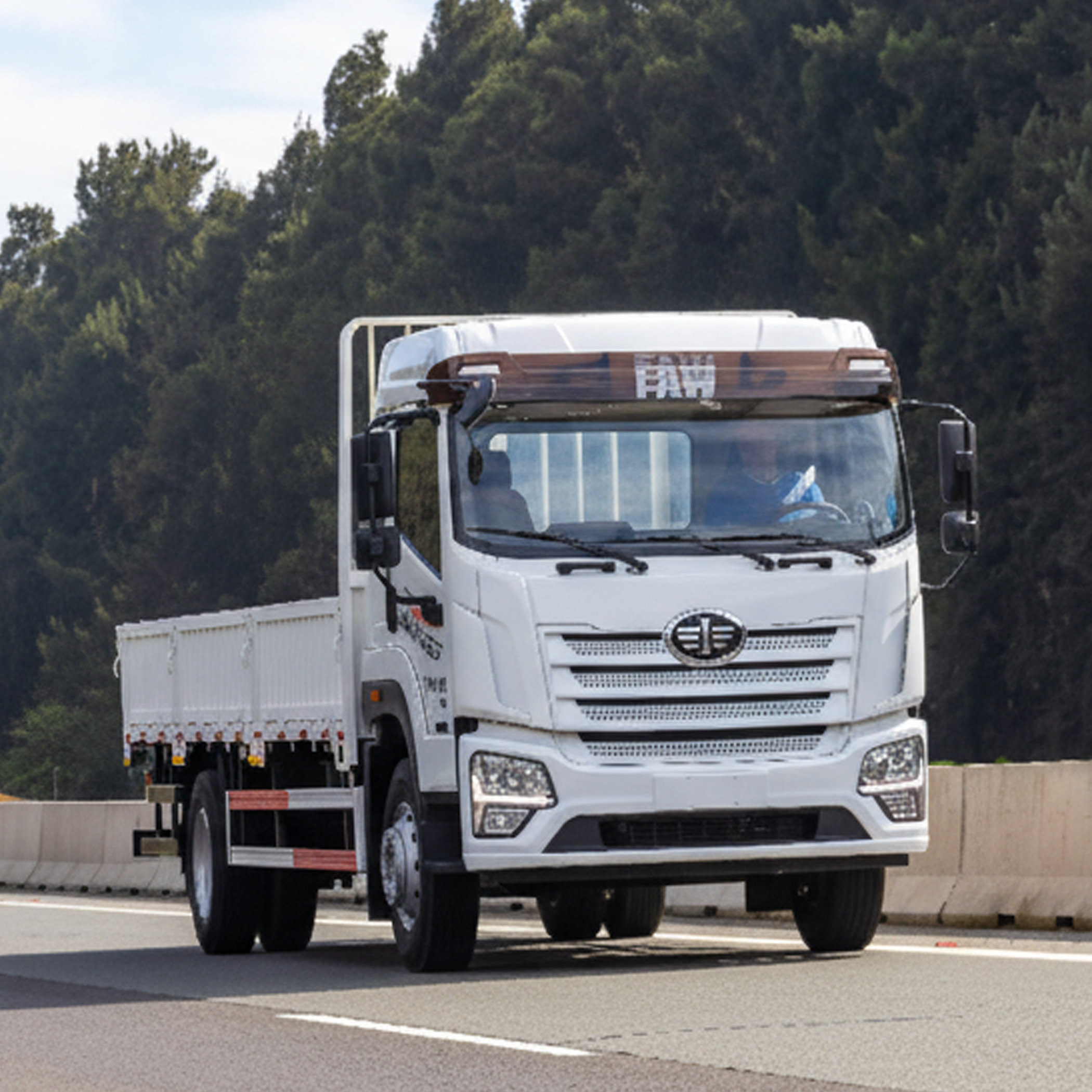 Camión F-1724 - Maco Tattersall