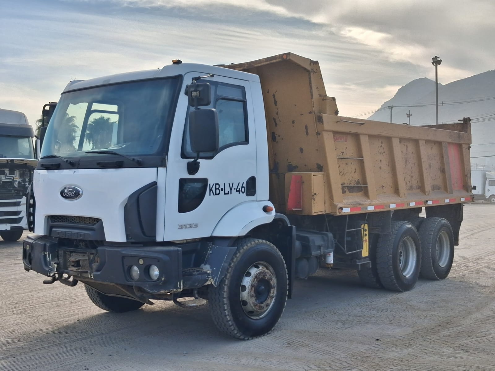 FORD CARGO 3133C